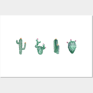 green cactus succulents design Posters and Art